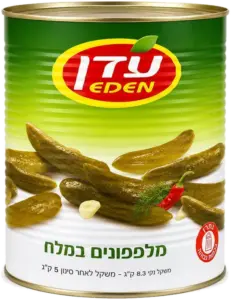 מלפפון במלח 81-95 9ליטר